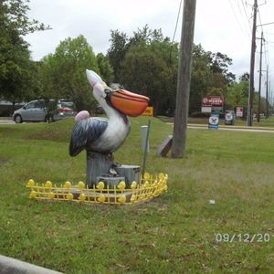 Meet your Posher, Heidi